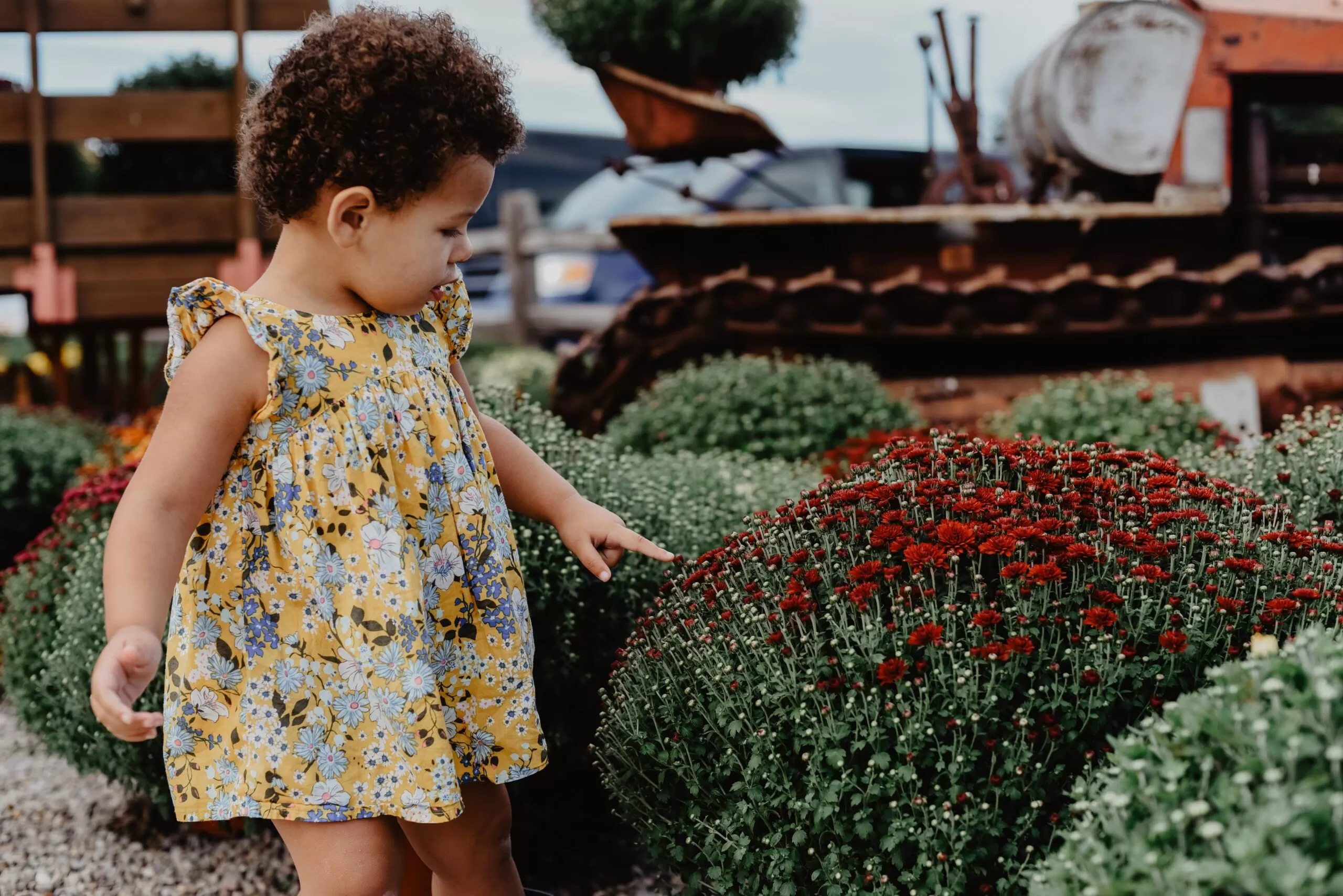 Growing your Baby’s Hair